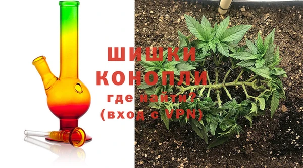 шишки Куйбышев