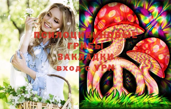 PSILOCYBIN Лабытнанги