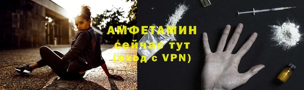твердый Ладушкин