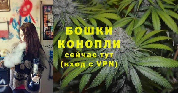 шишки Куйбышев