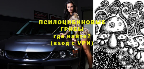 крисы Кукмор