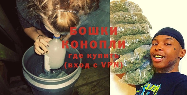 крисы Балахна