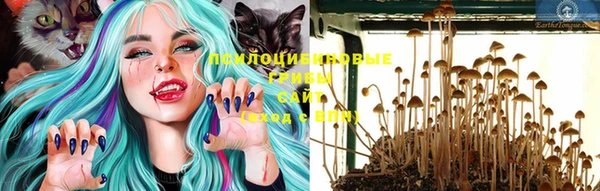 шишки Куйбышев