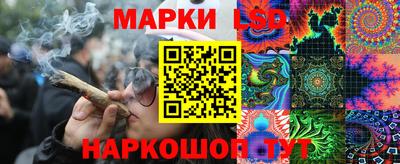 шишки Абакан