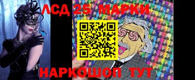 шишки Абакан