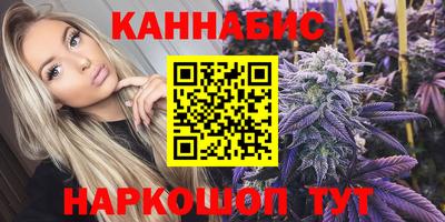 индика Гусь-Хрустальный