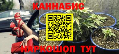 индика Гусь-Хрустальный