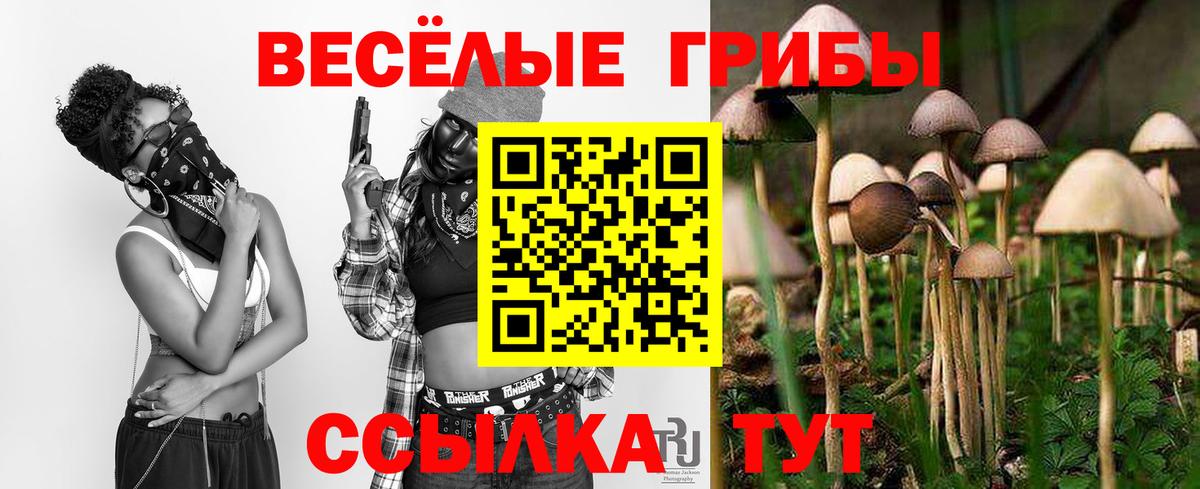 Старая Русса  Псилоцибиновые грибы прущие грибы  Вход с VPN 