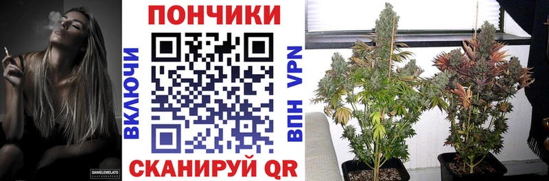 как найти закладки  Старая Русса  Конопля Ganja 