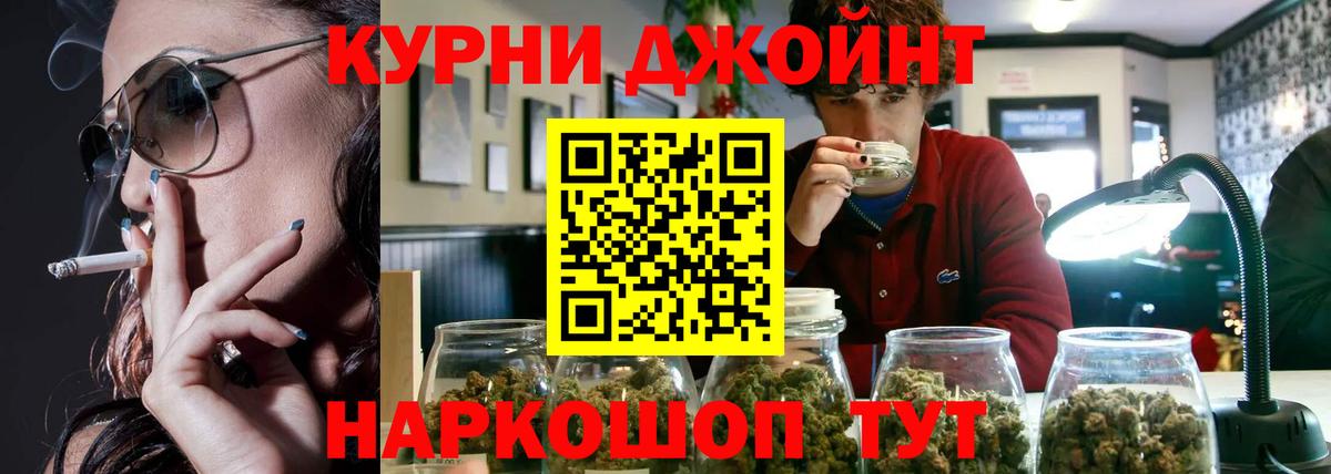 Канабис OG Kush Старая Русса